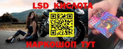 прущие грибы Краснодар
