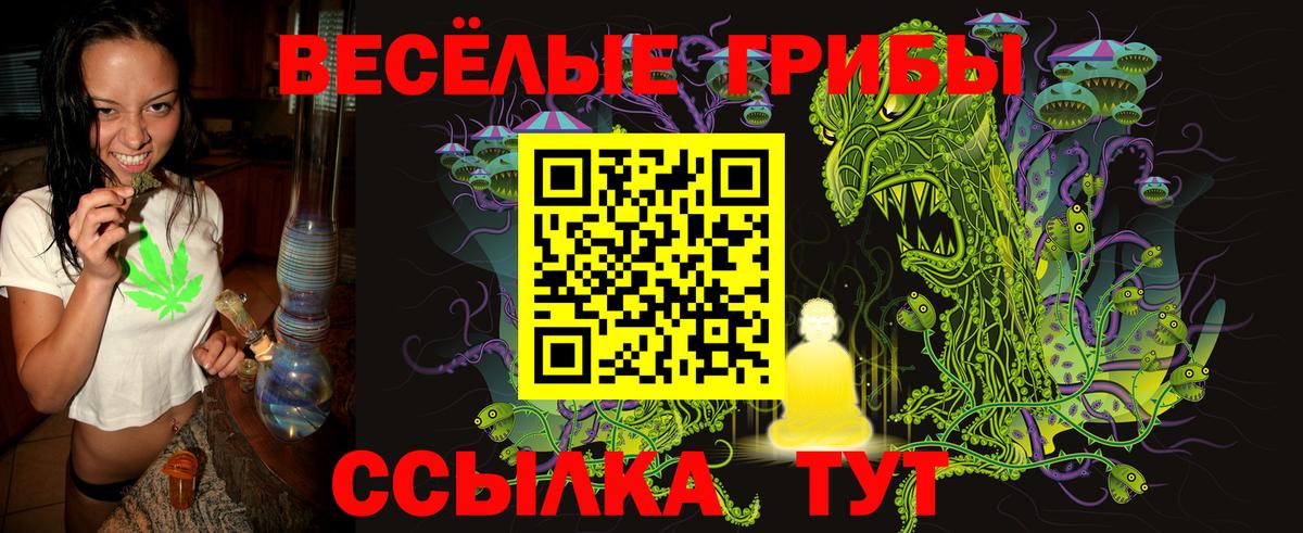 Псилоцибиновые грибы Cubensis Конаково